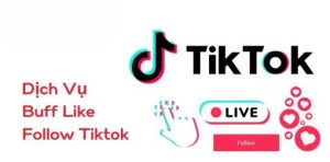 Dịch Vụ Buff Like Follow TikTok