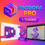 Tài Khoản Pacdora Pro 1 Tháng