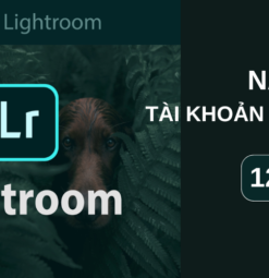 Tài Khoản Lightroom Premium